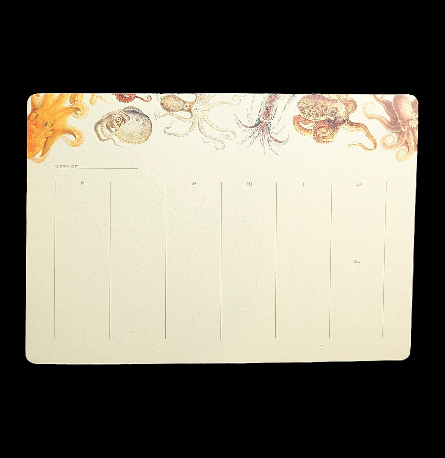 Octopus Calendar Pad - 2024 Monthly Planner with Sticky Notes, Memo Board & Erasable Surface - Perfect for Office, Home & School Organization