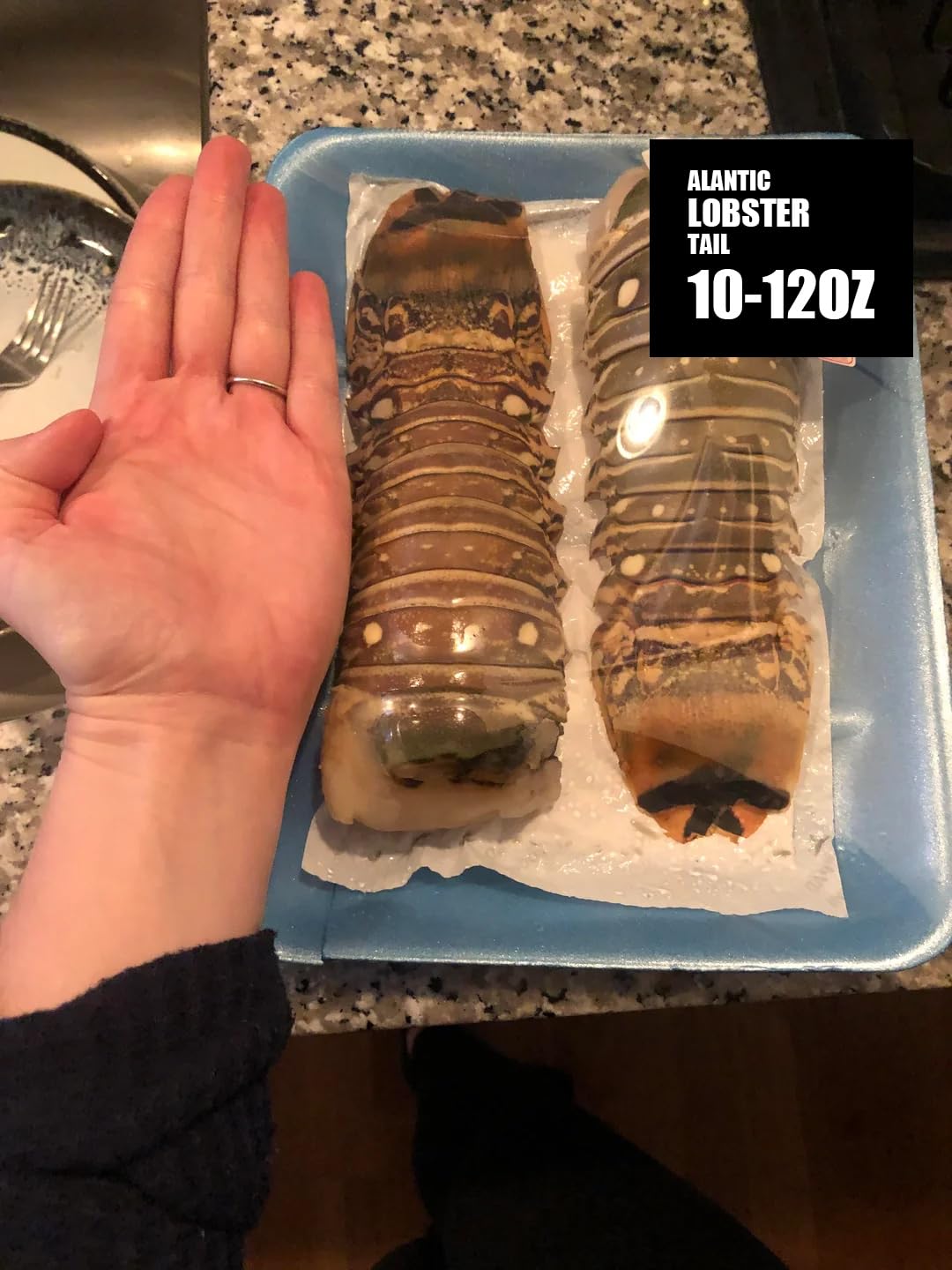 Fresh Maine Lobster Tails 8-10 oz (2 Count) - Premium Wild-Caught Lobster for Grilling, Baking & Special Occasions