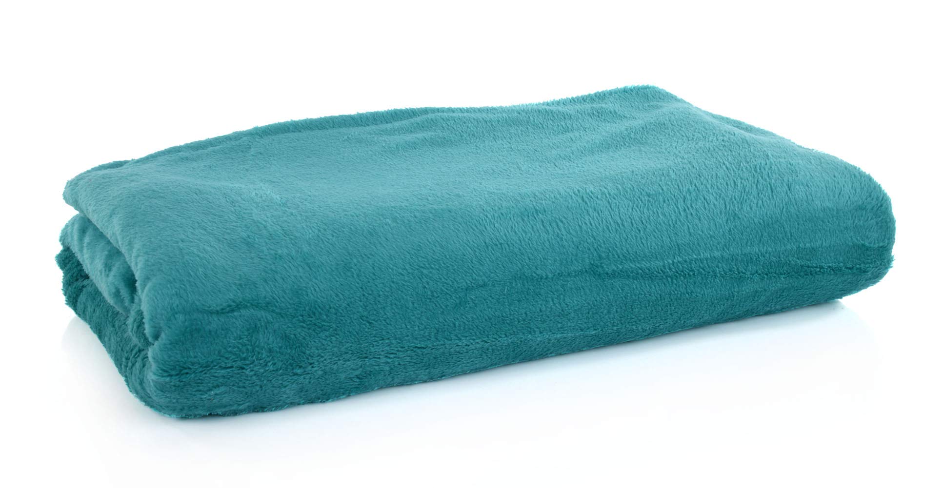 Soft Polyester Fleece Throw Blanket for Couch & Bed - Cozy Lightweight Fuzzy Blanket 51” x 70” (Light Green) - Perfect for Fall Decor, Bed Cover, Couch Cover & Snuggling