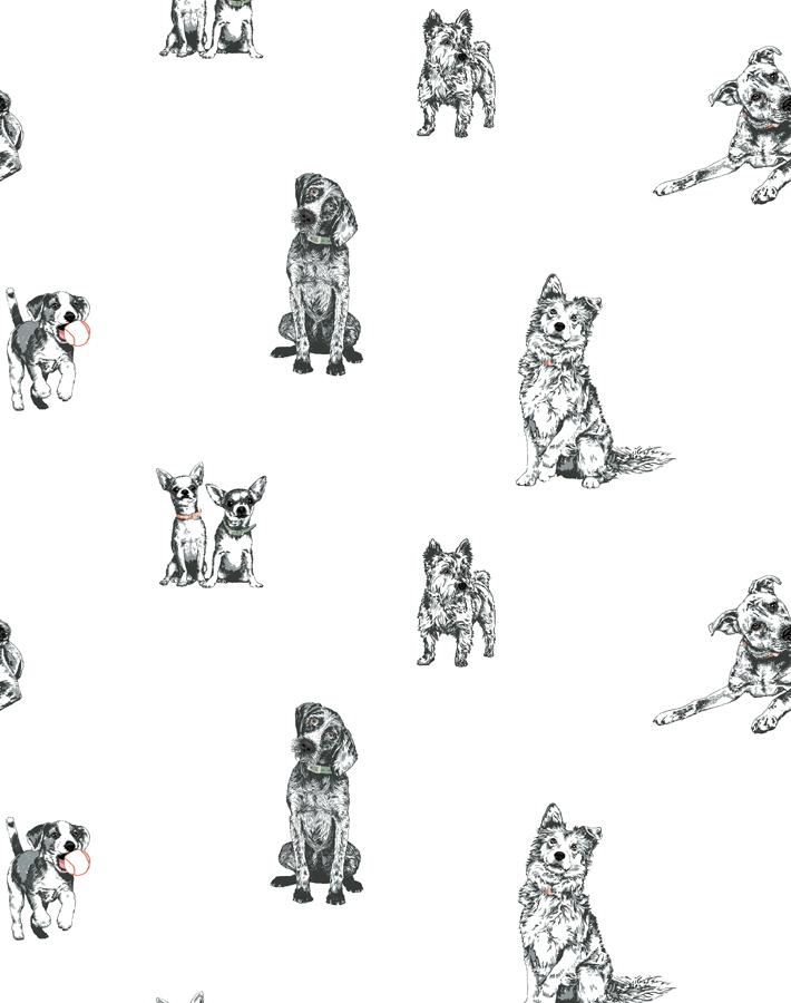 Nathan Turner White 'Mutts' Wallpaper - Premium Peel and Stick Wallpaper for Living Room, Bedroom, and Nursery Decor
