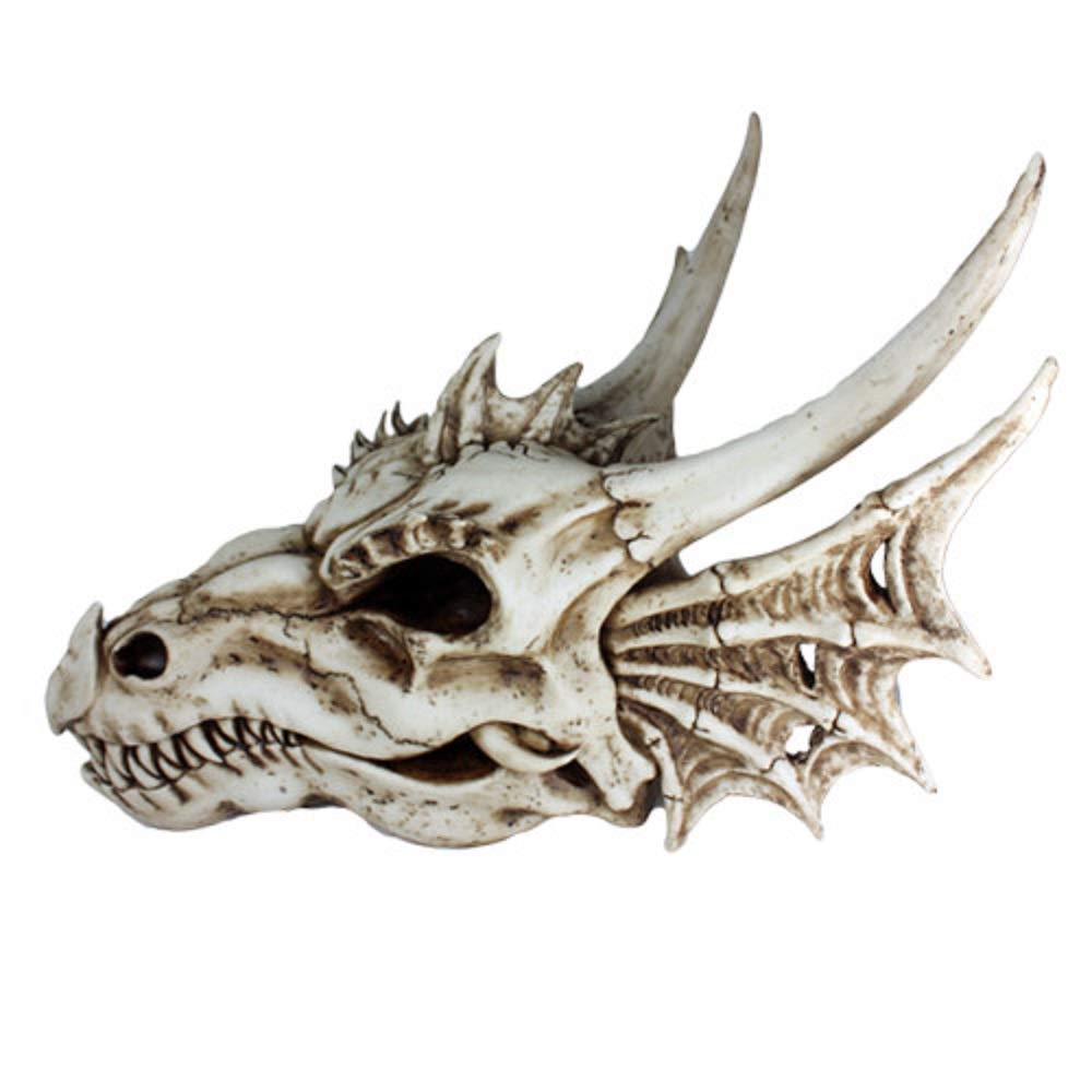 Premium Agujaceratops Dinosaur Skull Replica - Large Jurassic Fossil Head with Detailed Wings - Perfect for Home Decor, Museum Display, and Dinosaur Enthusiast Collections