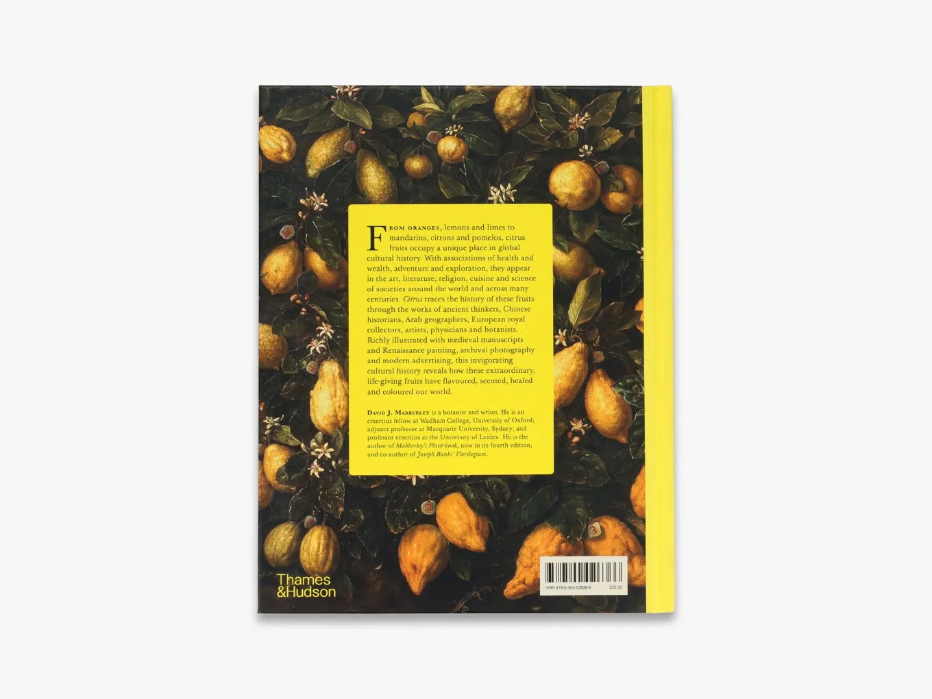 Fresh Citrus Fruits - Organic Oranges, Lemons & Limes - Perfect for Juicing, Cooking & Healthy Snacks | Buy Online for Home, Restaurant & Juice Bar Use
