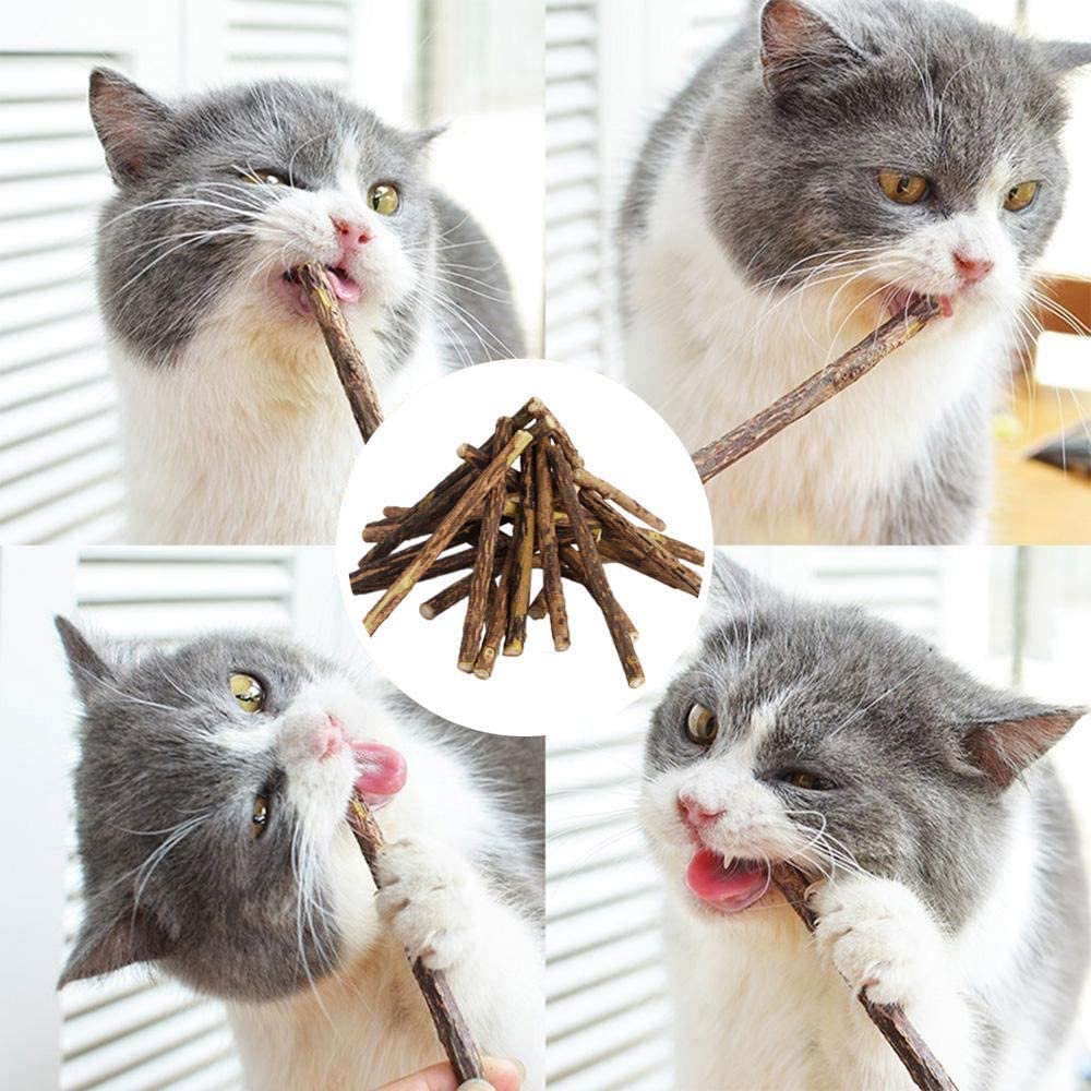 30Pcs Natural Matatabi Silvervine Cat Chew Sticks - Catnip Toys for Dental Care & Teeth Grinding - Kitten & Adult Cat Chew Toys for Stress Relief & Playtime - Perfect for Indoor Cats & Boredom Relief