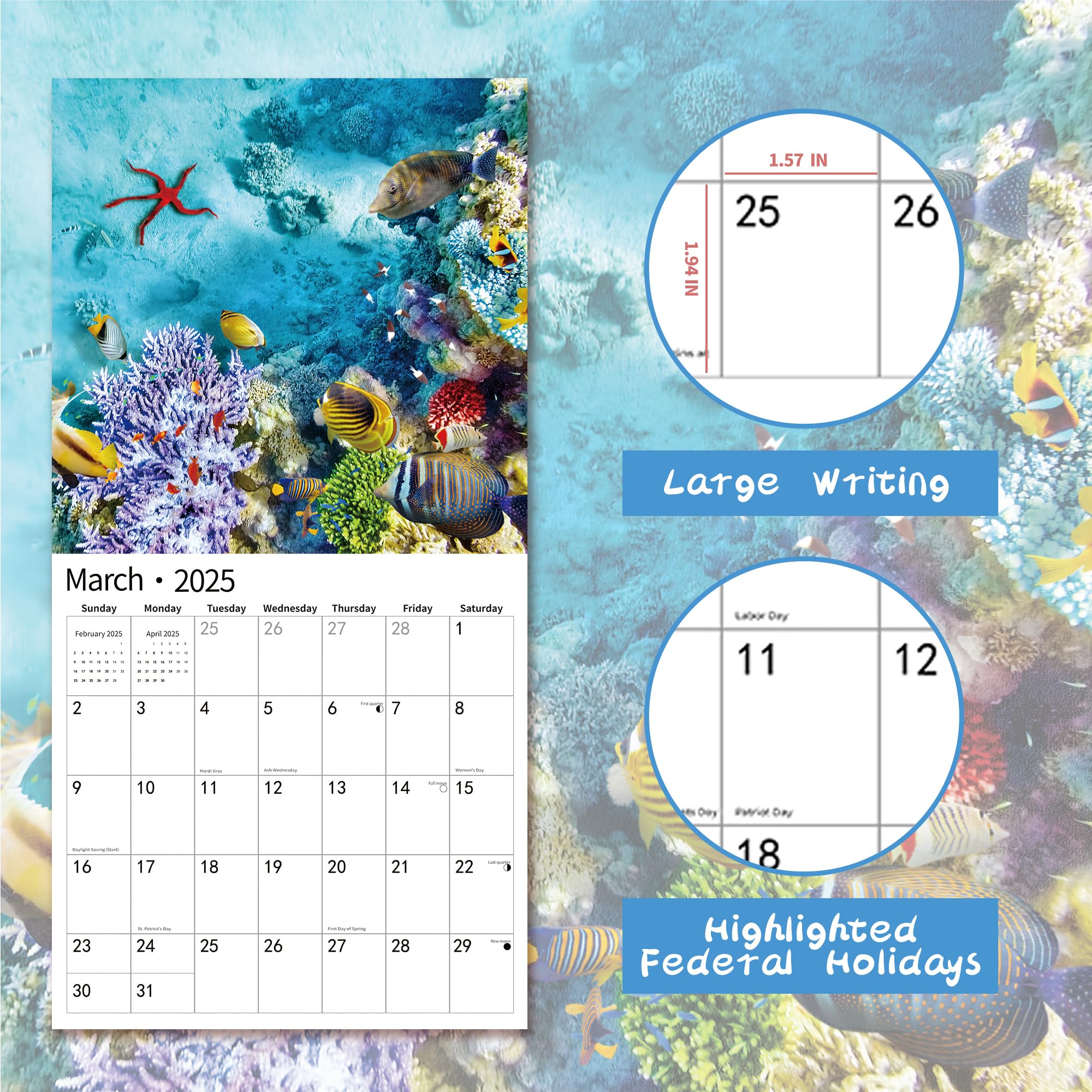 2025 Tropical Wall Calendar | November 2024 - December 2025 | 12