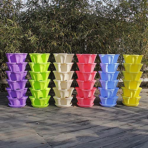 6-Tier Stackable Vertical Garden Planter Tower with Strawberry Seeds, Garden Tools & Watering Can - Herb & Strawberry Growing Kit for Indoor/Outdoor, Balcony, Patio Gardening
