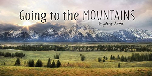 Contemporary Wilderness & Mountain Home Wall Art - Set of Two 18x8 Inch Gold Trim Framed Prints by Lori Deiter (Ready to Hang) - Perfect for Living Room, Bedroom & Office Decor