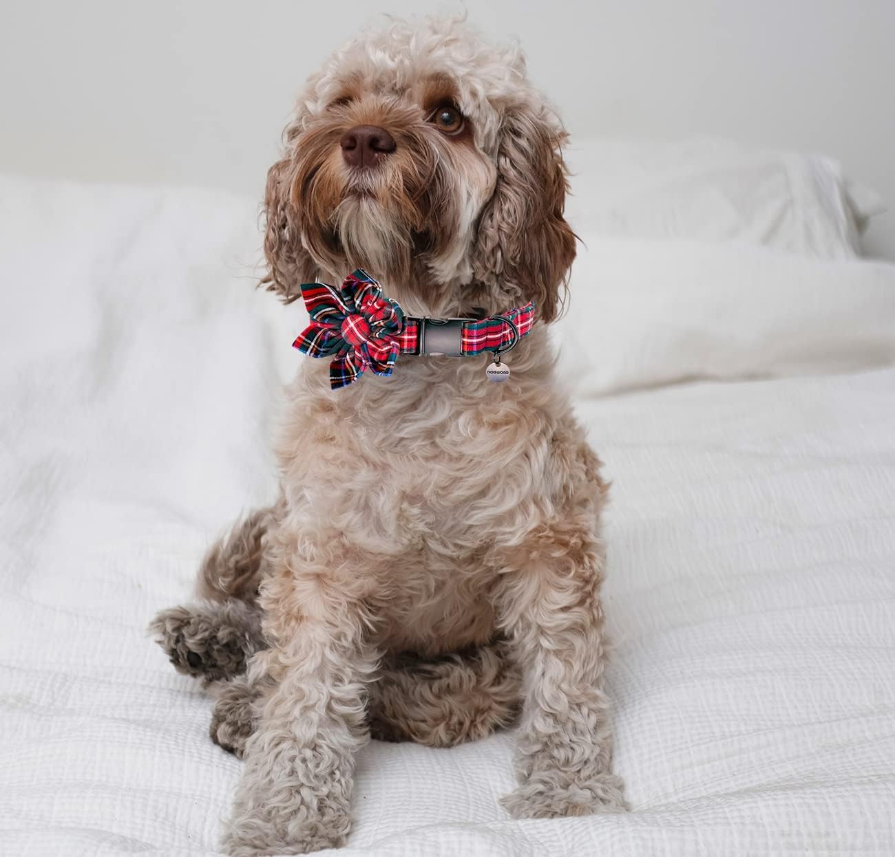 **Christmas Red Plaid Dog Collar with Flower – Adjustable Pet Collar for Small, Medium & Large Dogs – Perfect for Holidays, Photos & Daily Walks**