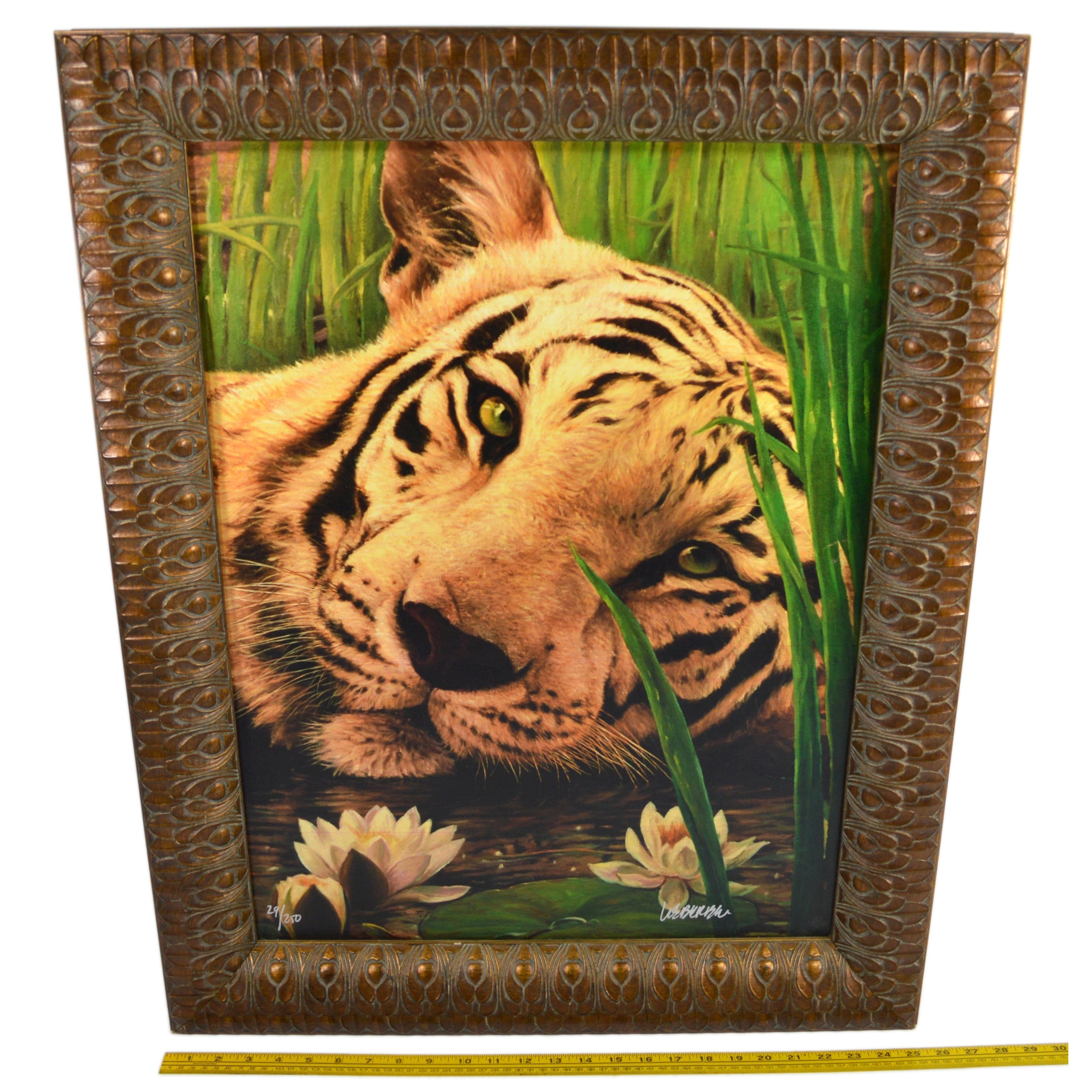 Original Signed Lazy Bengal Tiger Giclee Print on Canvas #29/250 by Weber - Perfect for Home Decor, Office Art & Wildlife Enthusiasts