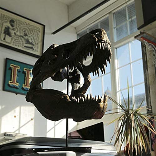 Gothic Dinosaur Skull Statue - Resin Home Decor Sculpture for Living Room, Office, TV Cabinet & Wine Bar | Unique Halloween, Birthday Gift for Dinosaur Lovers & Gothic Decor Enthusiasts | Perfect for Dark Academia Theme & Man Cave Decor