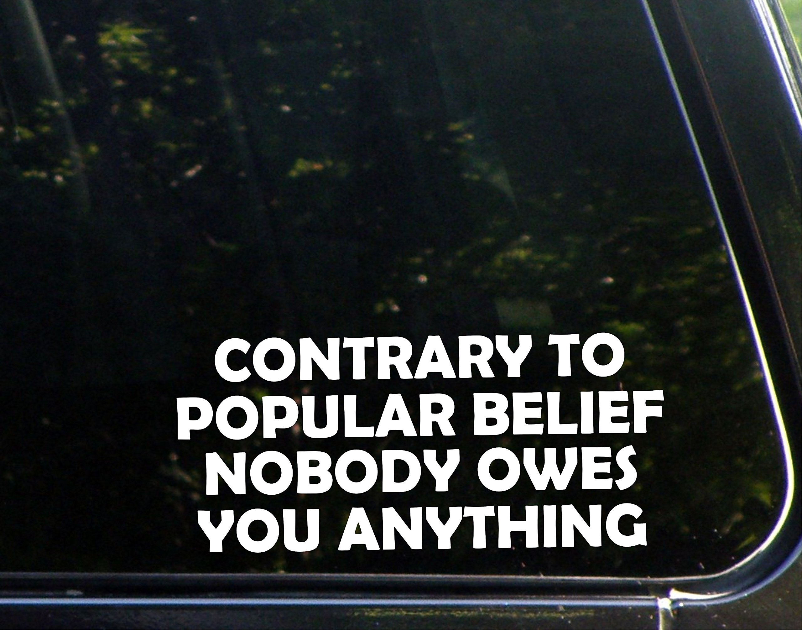Nobody Owes You Anything - 8.5x4 Inch Vinyl Die Cut Decal Sticker for Windows, Cars, Trucks, Laptops, Mugs & More - Funny Motivational Quote for Office, Home & Personal Belongings