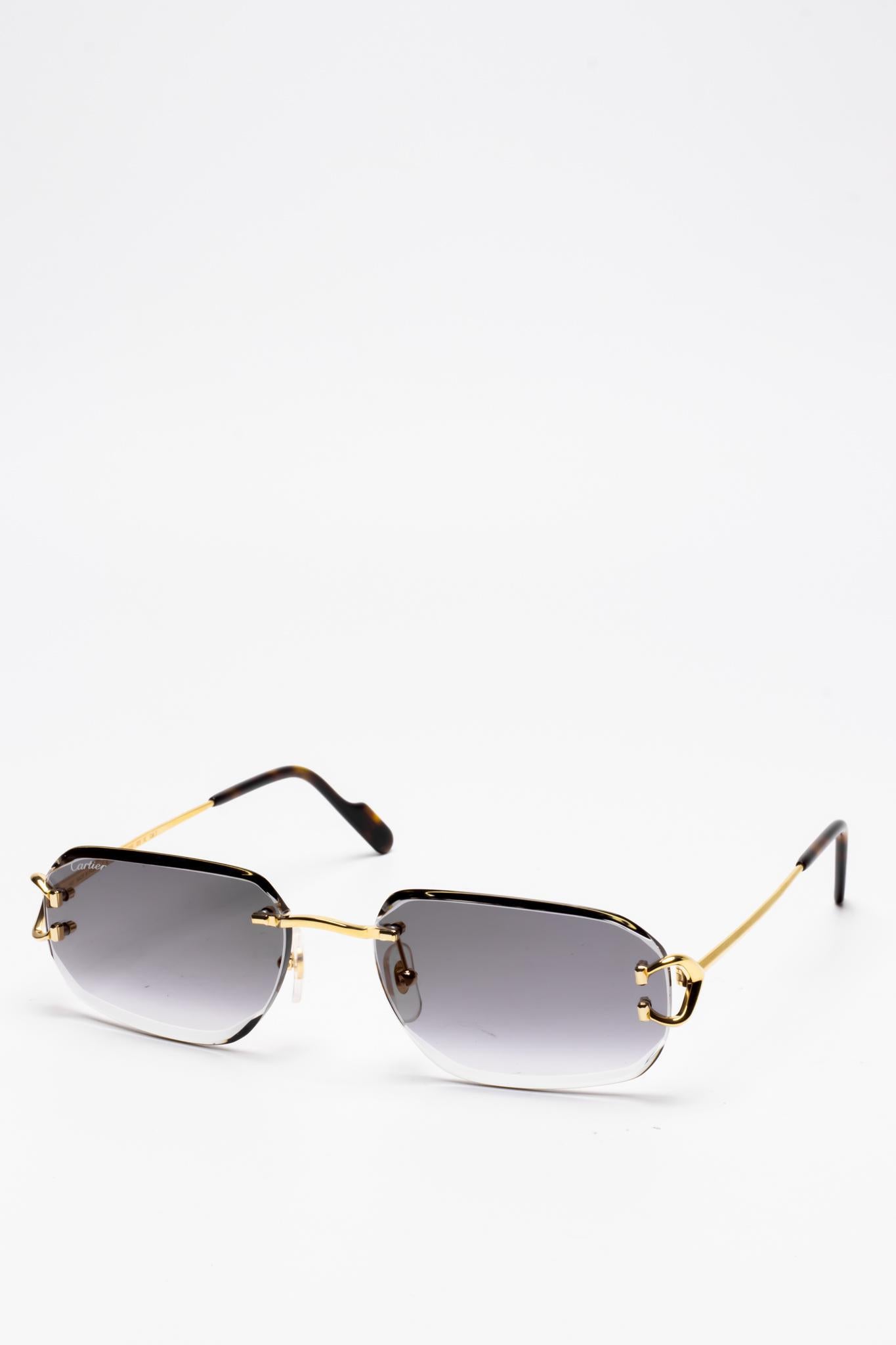 Cartier CT0468S 001 C Décor Sunglasses - Luxury Designer Shades for Women & Men - UV Protection, Fashionable Eyewear for Beach, Driving & Outdoor Activities
