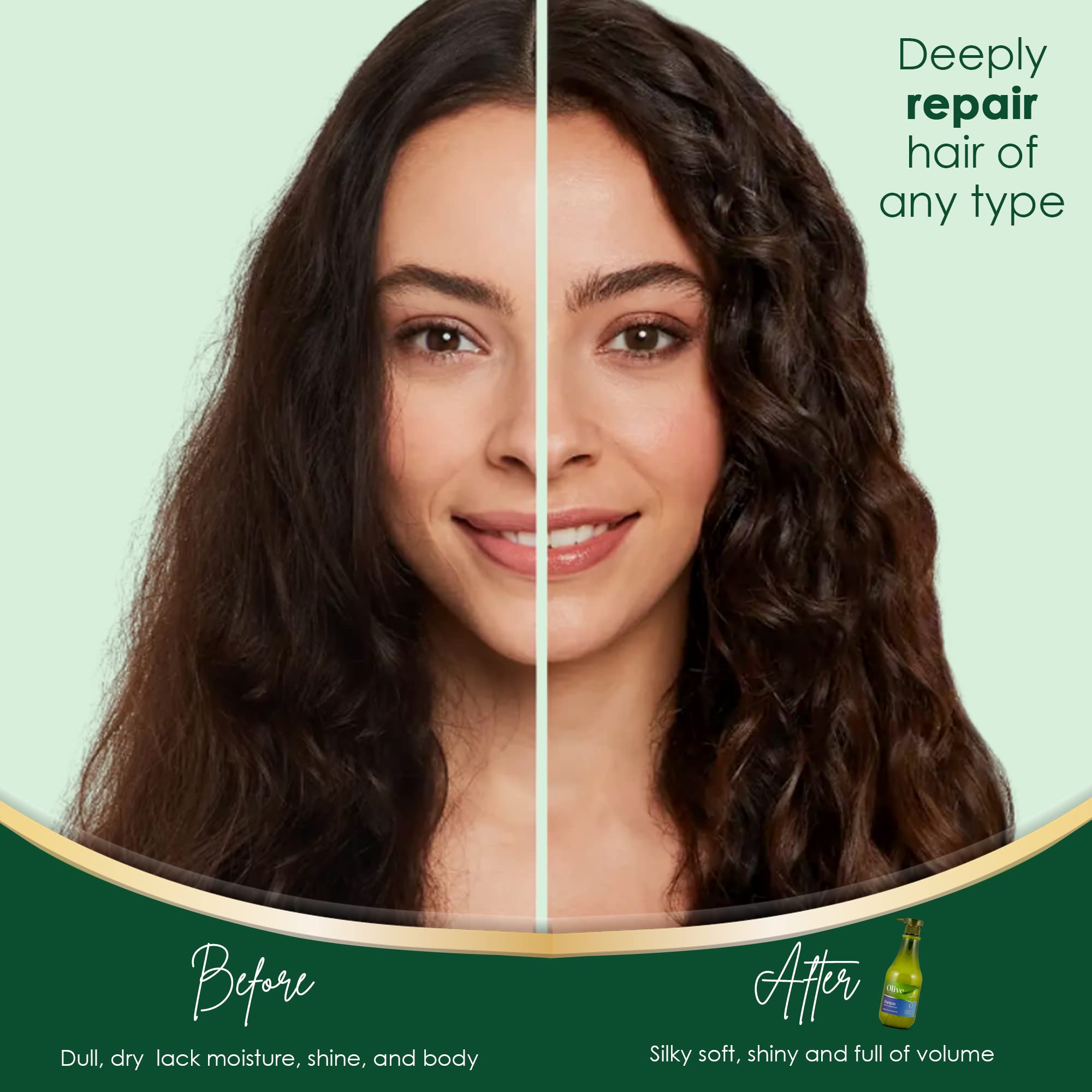 Organic Olive Oil Shampoo for Dry Damaged Hair - Vitamin A, D & E Enriched Hydrating Shampoo | Paraben-Free & Natural Deep Cleansing Formula | 27 fl oz | Perfect for Color-Treated, Frizzy & Brittle Hair Care Routine