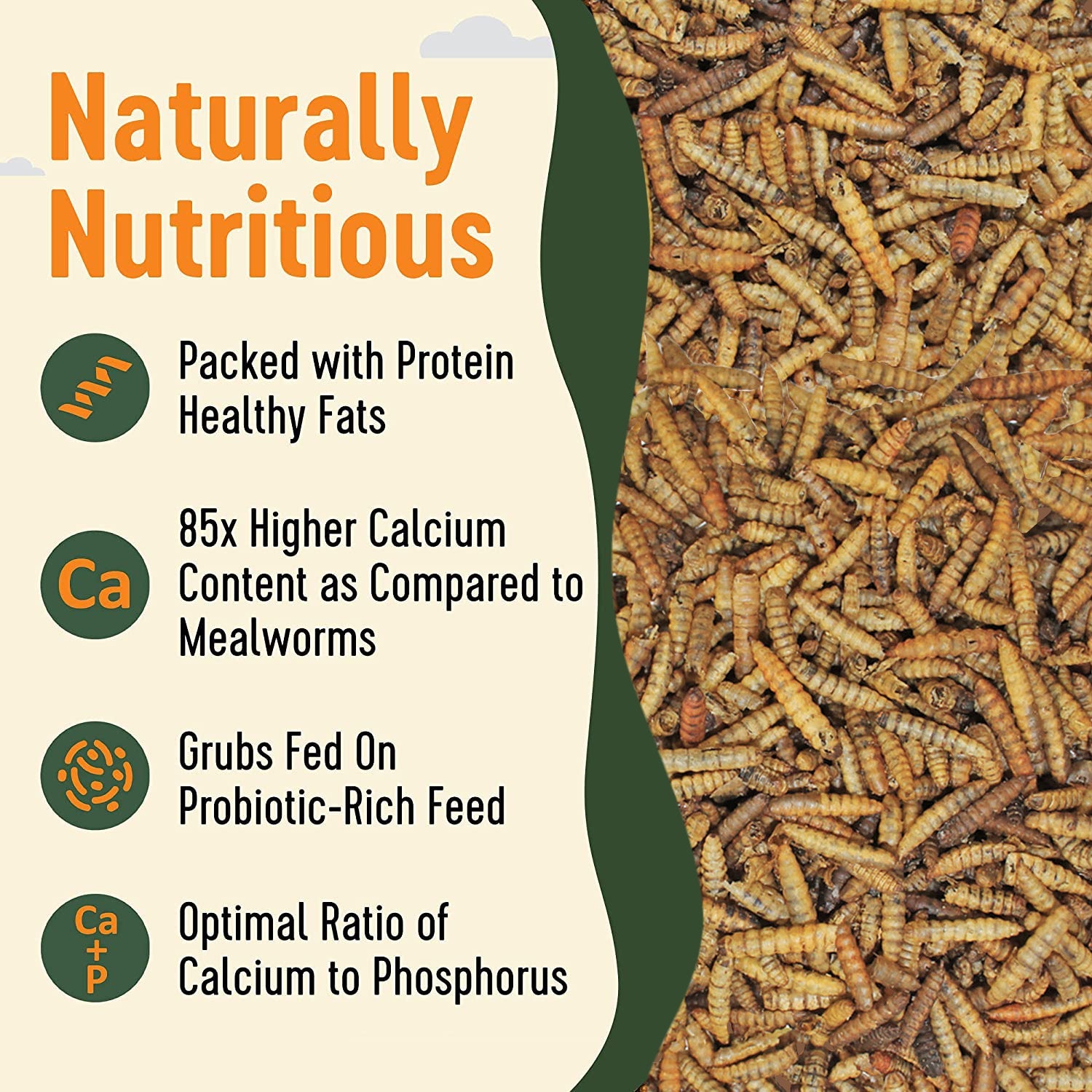 Ez Worms - Live Fishing Bait for Freshwater & Saltwater - High-Quality Compost Worms for Garden & Fishing - Perfect for Bass, Trout, and Catfish