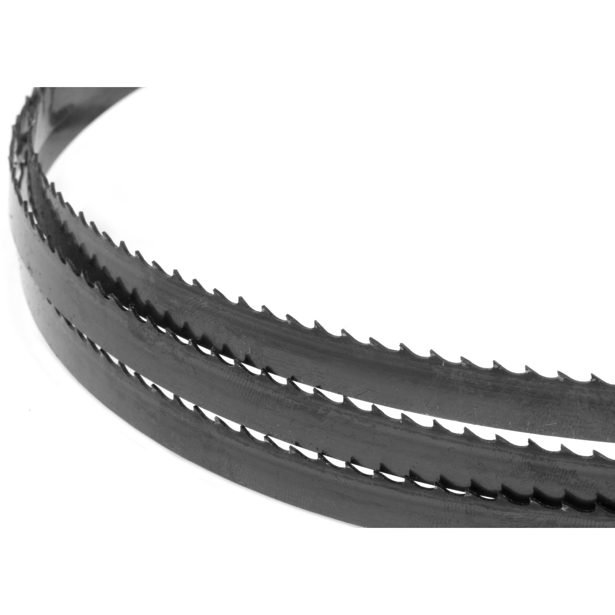 WEN BB7237 72-Inch Woodcutting Bandsaw Blade - 6 TPI, 3/8-Inch Width for Smooth Woodworking Cuts | Perfect for DIY Projects, Furniture Making & Wood Crafts