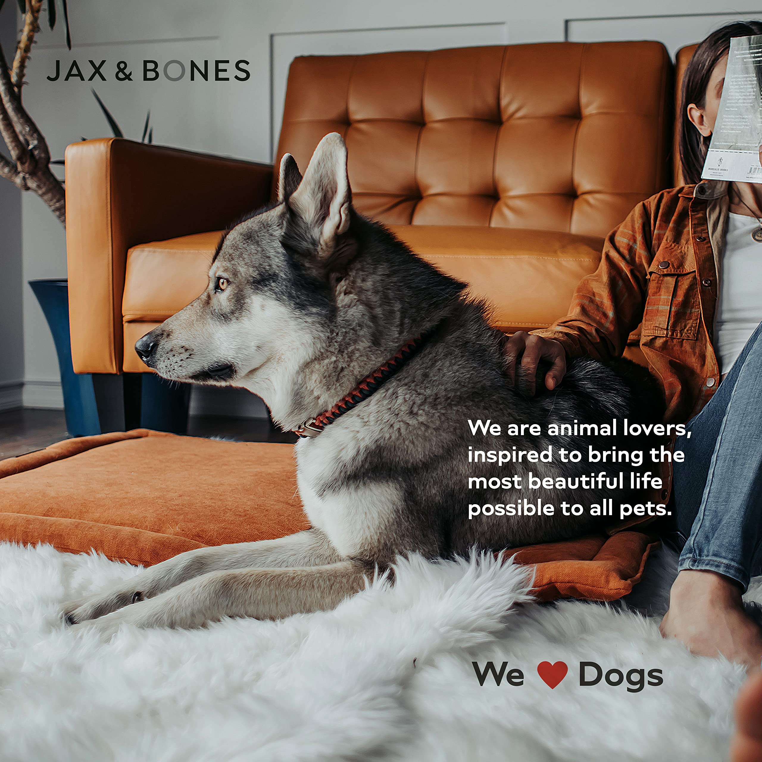 Jax & Bones Dog Crate Cover & Pad Set - Premium Kennel Cover with Soft Liner & Cushioned Bed - Large Size in Lark Graphite - Made in USA - Perfect for Comfortable Crating, Travel & Home Use