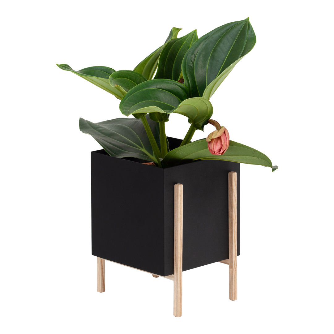 Atelier Botanic Pot Design House Stockholm - Handmade Ceramic Plant Pots for Home & Office Decor | Perfect for Indoor Plants, Succulents, and Herbs