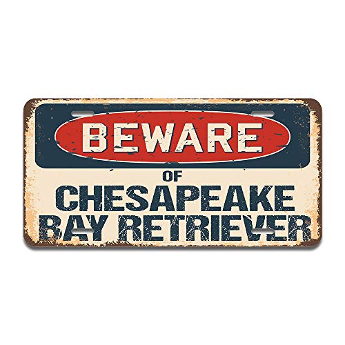 Beware of Chesapeake Bay Retriever