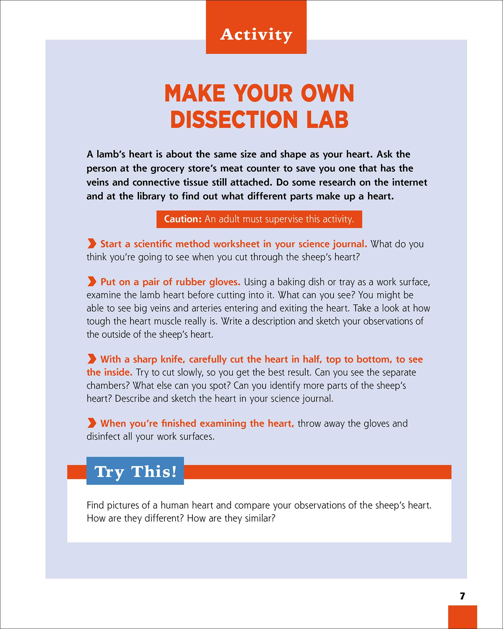 The Human Body for Kids: Science Activities & Experiments to Explore Under the Skin | Fun STEM Learning for Home & Classroom