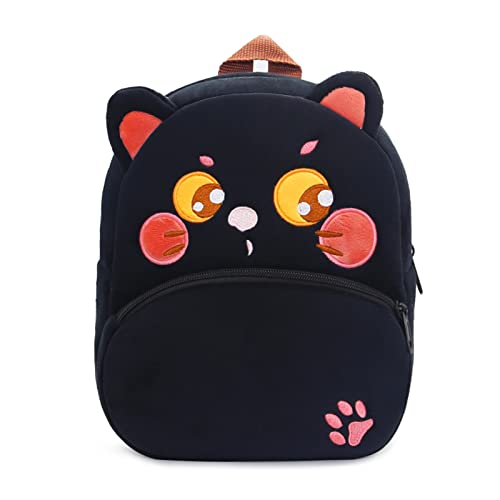Black Cat