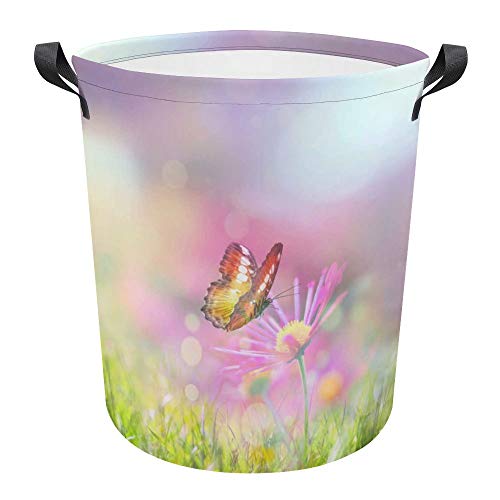 Beautiful Butterfly Flowers Spring Summer