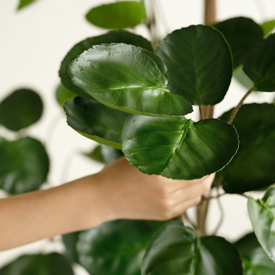 150cm Green Artificial Indoor Money Tree Fake Plant - Realistic Simulation Decorative Faux Tree for Home Office Living Room Bedroom Decor