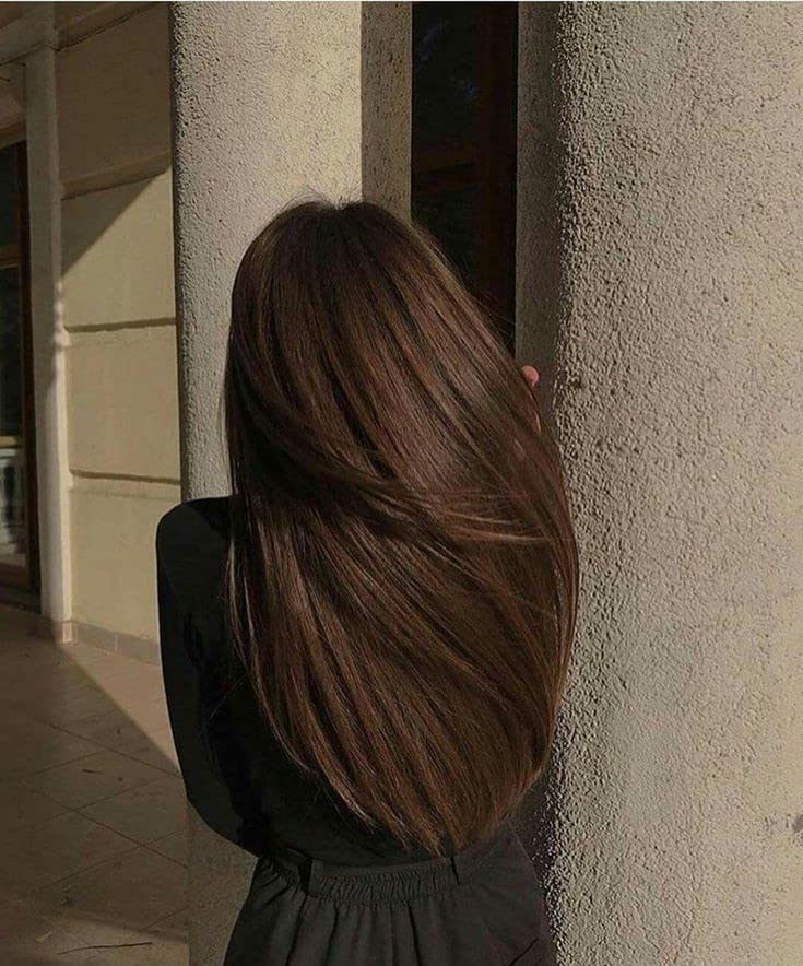 LTZ 24 Inch Straight Synthetic Hair Extensions for Women & Girls - Natural Brown Clip-In Full Head Hair Extensions | Perfect for Parties, Weddings, and Daily Styling