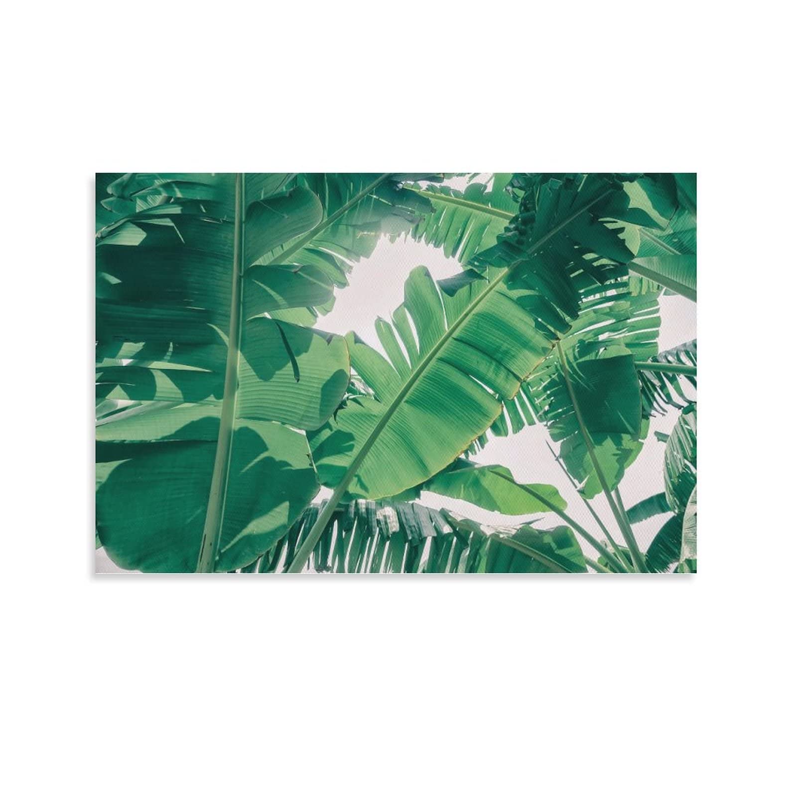 Banana Leaves Tropical Rainforest Wall Art - 24x36 & 12x18 Inch Green Botanical Posters for Modern Bedroom, Living Room Decor - Canvas Prints, Picture Frames - Perfect for Home, Office & Spa Aesthetics