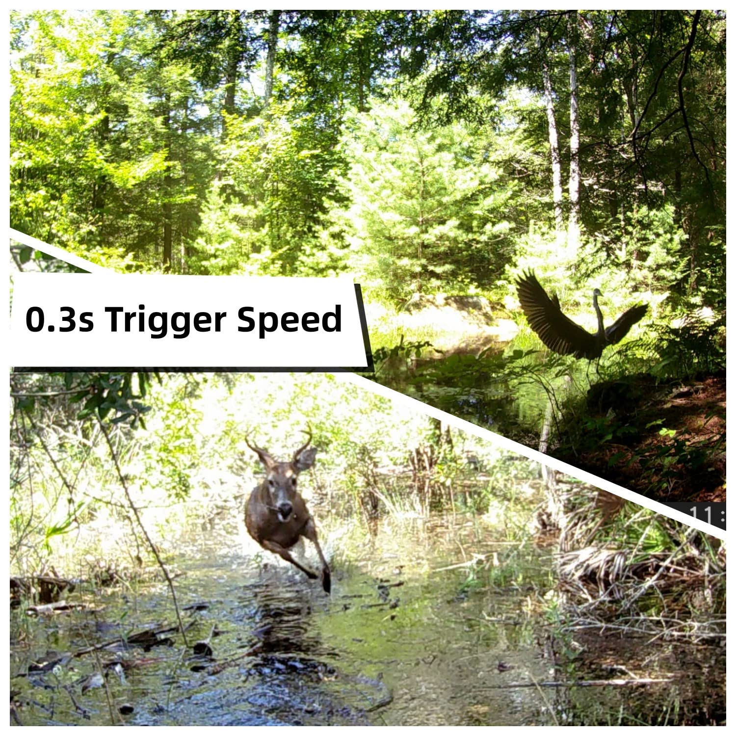 2 Pack 30MP 1080P HD Waterproof Trail Cameras - Motion Activated Hunting Camera with Fast Trigger & Infrared Night Vision for Outdoor Wildlife Monitoring - Perfect for Deer Hunting, Security Surveillance, and Nature Observation