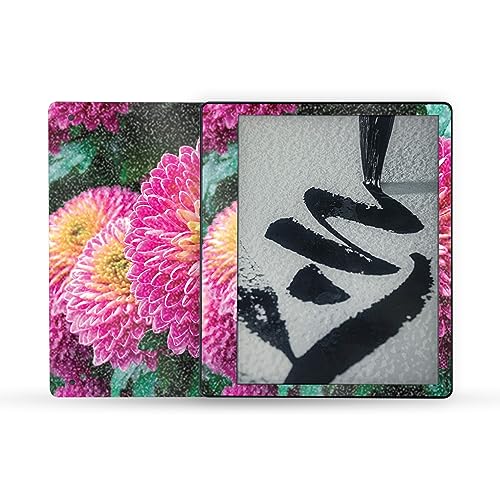 Chrysanthemum