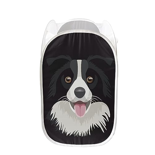 Cute Dog