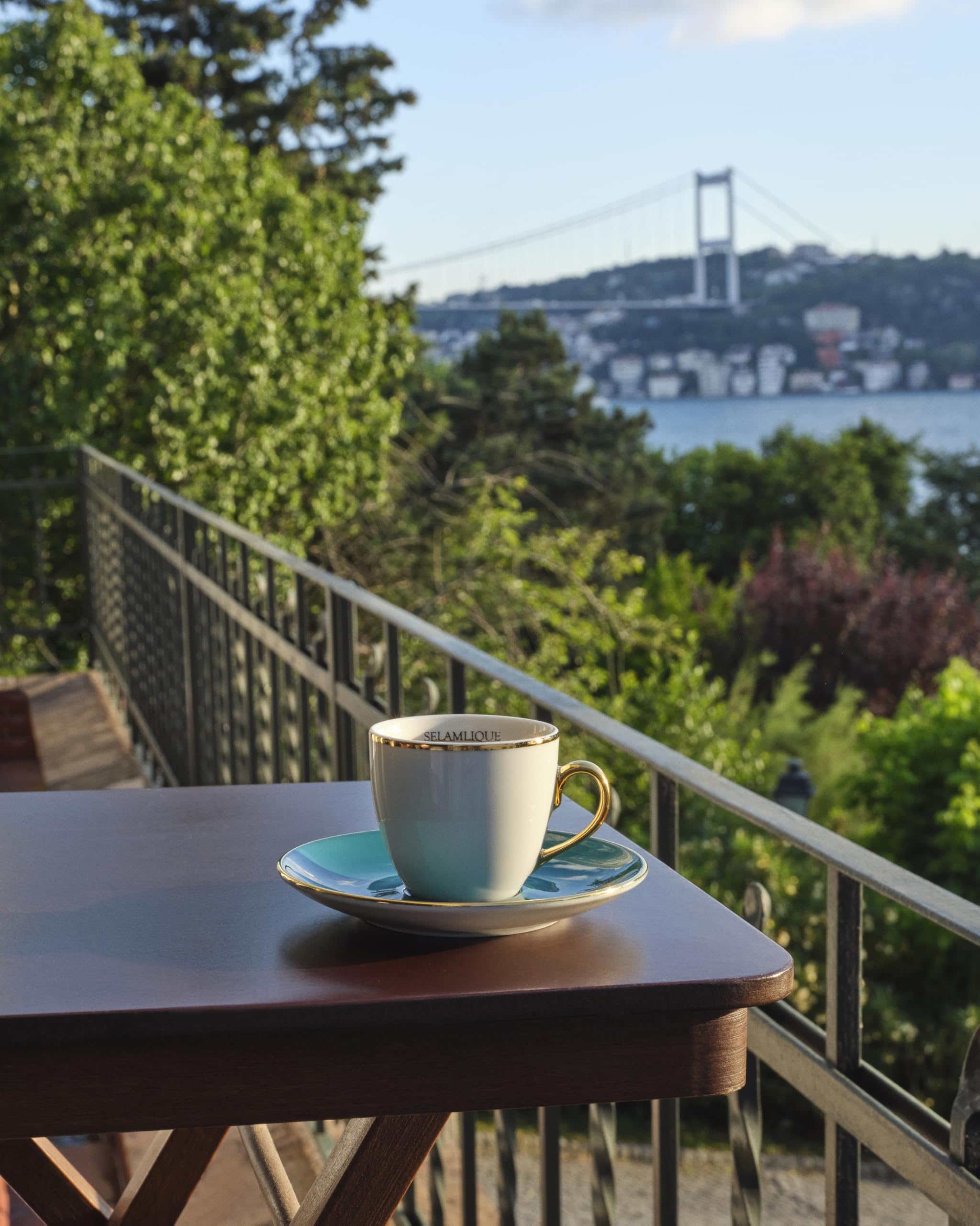 Premium 2-Piece Espresso Cup Set with Saucers - 2.7 oz Turkish Coffee Cups in Elegant Gift Box - Perfect for Home Brewing, Gifts & Coffee Shops