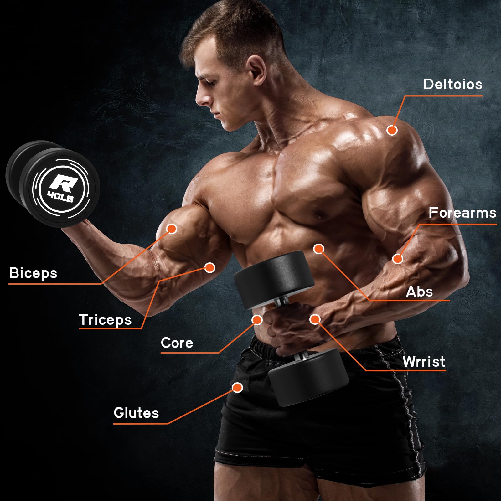 RitFit 5-250 LBS PVC Encased Round Dumbbell Set with Knurled Handle - Adjustable Weight Strength Training Equipment for Home Gym | Perfect for Full-Body Workouts, Muscle Building & Fitness Training