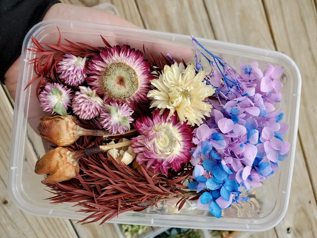 Purple Box Dried Flowers - Natural Floral Gift Décor for Home & Wedding