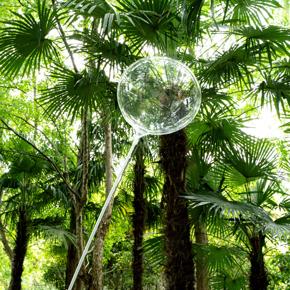 Balloonify Clear Bobo Balloons - Pack of 20 (10 Count Box) for Parties, Events & Decorations