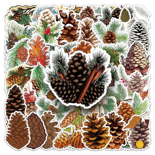 Pine Cone
