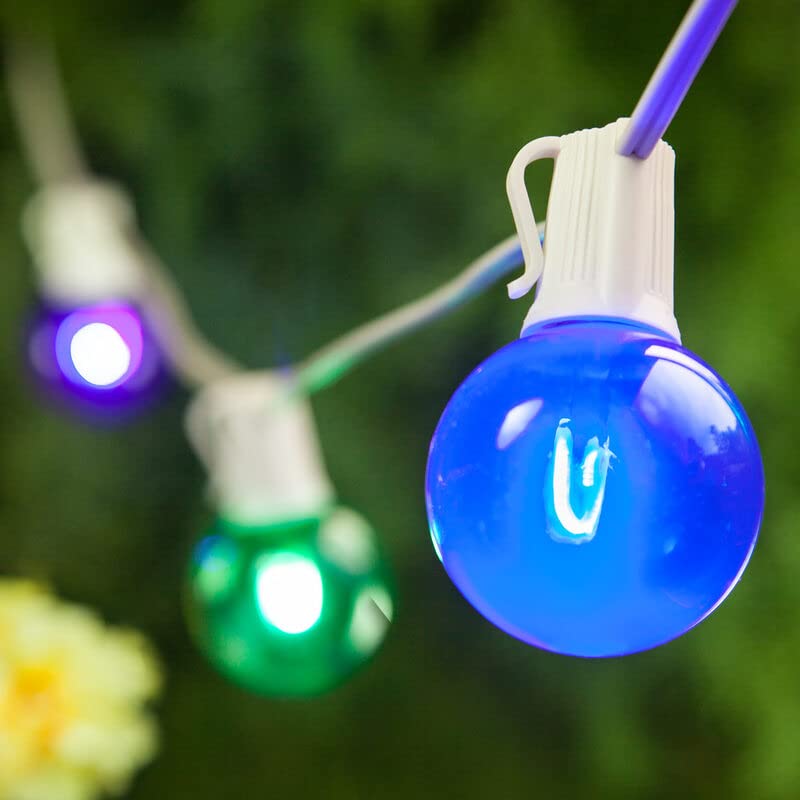 Wintergreen Shatterproof LED Globe String Lights - 10ft Multicolor Outdoor Party Lights with 10 G50 Bulbs on White Wire for Backyard, Patio, Wedding & Holiday Decorations