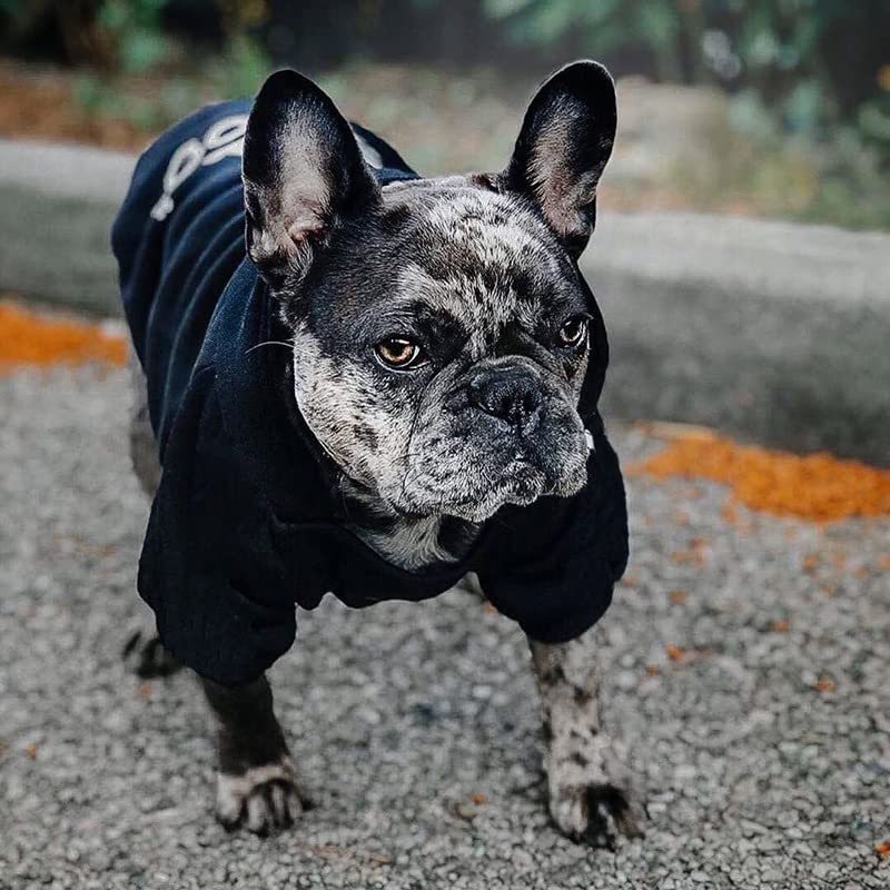 Trendy Comfortable Soft Fashion Dog Hoodie for Small to 5X-Large Dogs - Cozy Winter Outfit for Walks & Outdoor Adventures (Black)