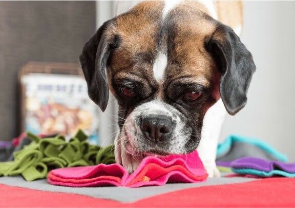 Interactive Dog Sniff & Search Puzzle Game - Heart-Shaped Scent Pad for Nosework Training | Fun Mental Stimulation for Dogs at Home or Outdoor Play
