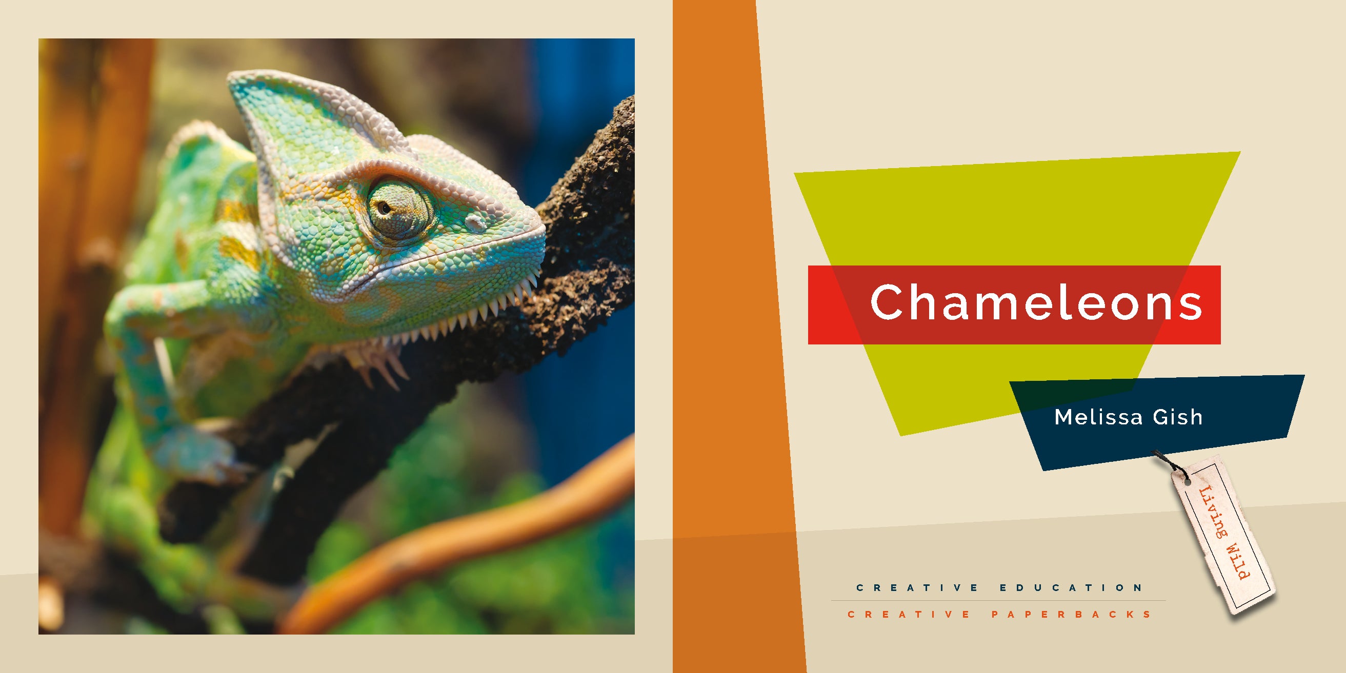 Chameleons Book - 9781640265974 | Fascinating Reptile Facts & Photos for Kids & Adults | Perfect for School Projects & Nature Lovers