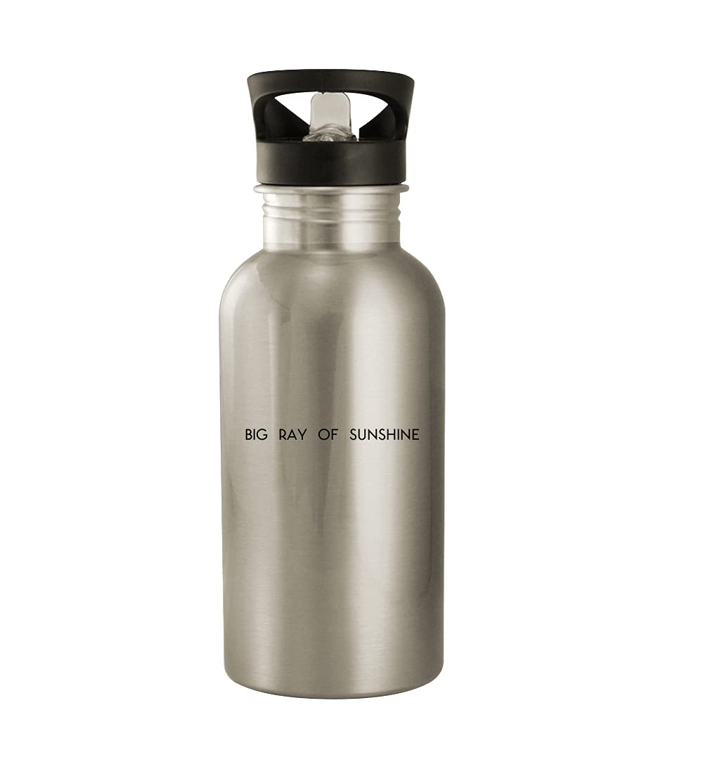 Big Ray Of Sunshine - 20oz Stainless Steel Outdoor Water Bottle, Silver - Perfect for Hiking, Camping, Gym & Everyday Hydration
