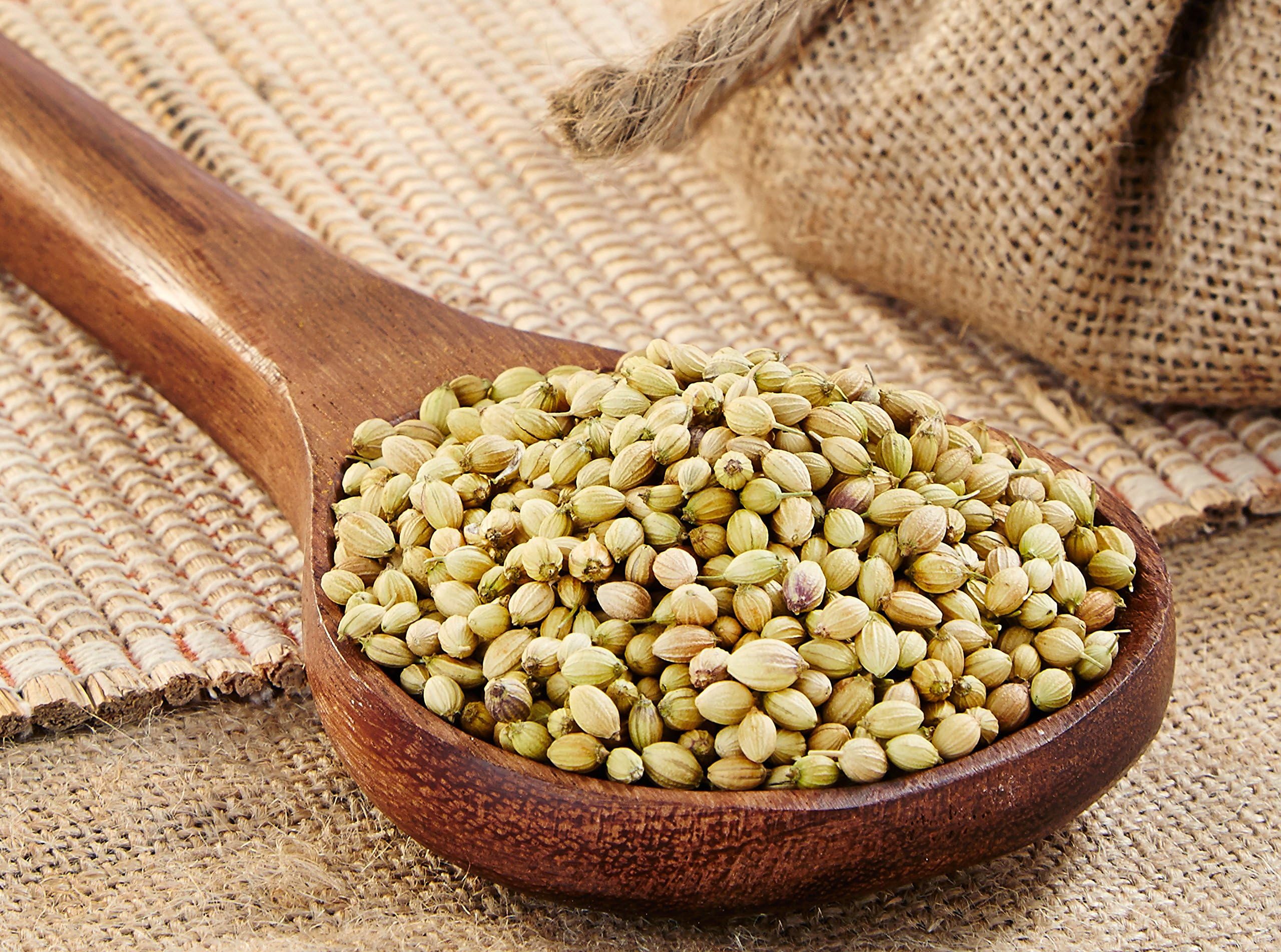 Vedaka Coriander Seeds (Dhania) 200g - Premium Quality for Cooking, Baking & Spice Blends - Amazon Brand