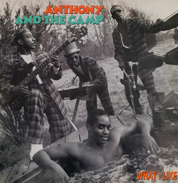 Anthony And The Camp - What I Like by Warner Bros. Records (Catalog No. 0 20449) | Vinyl Record for Music Collectors & 80s Nostalgia Lovers