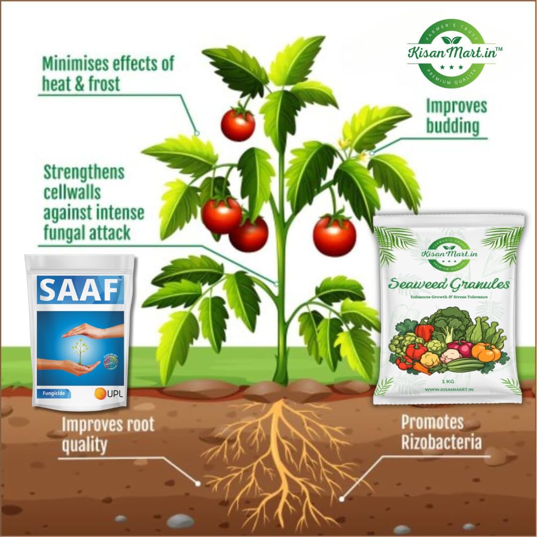 Organic Seaweed Granules 100g & 250g Combo - Natural Plant Growth Booster, Bio-Stimulant & Nutrient-Rich Fertilizer for Healthy Gardens, Lawns & Houseplants | Perfect for Organic Farming, Hydroponics & Indoor Plant Care