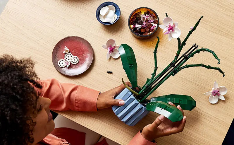 LEGO Botanical Collection Orchid Building Kit - Creative DIY Flower Model for Home Decor, Gift & Relaxation | Perfect for Plant Lovers, Office Desk & Living Room Display