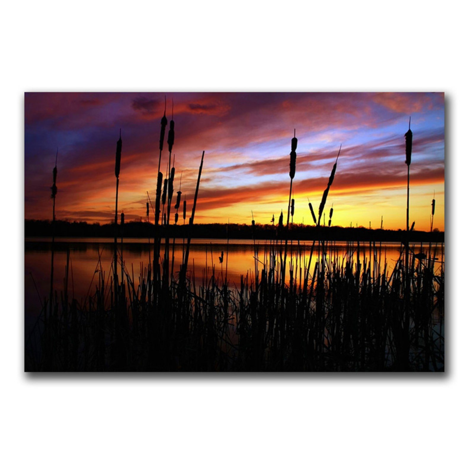 Trademark Fine Art Principles Canvas Art by CATeyes - 22x32 Inches - Perfect for Living Room, Bedroom & Office Wall Decor