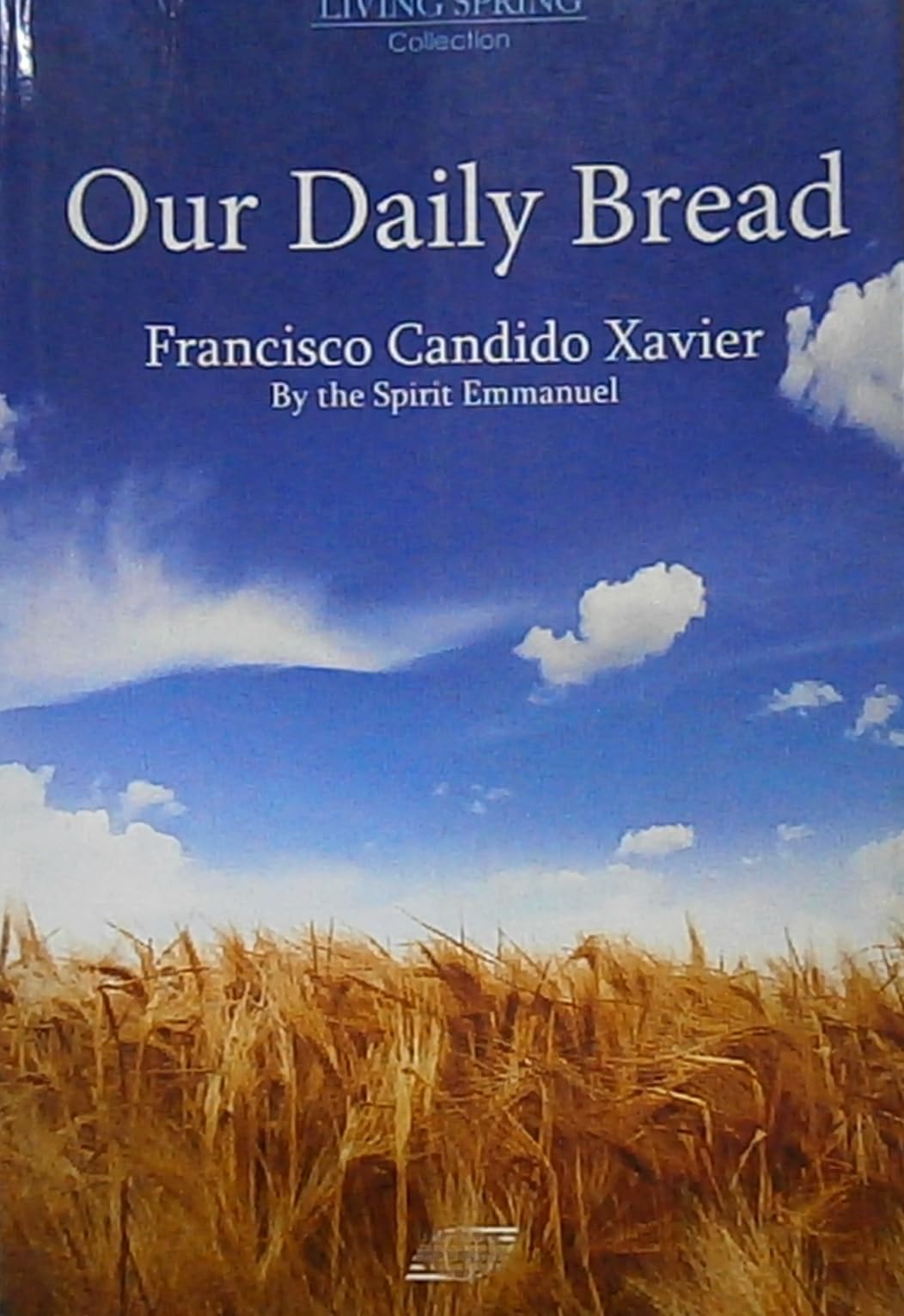 Our Daily Bread - Fresh Artisan Sourdough Loaf | Perfect for Sandwiches, Toast & Family Dinners
