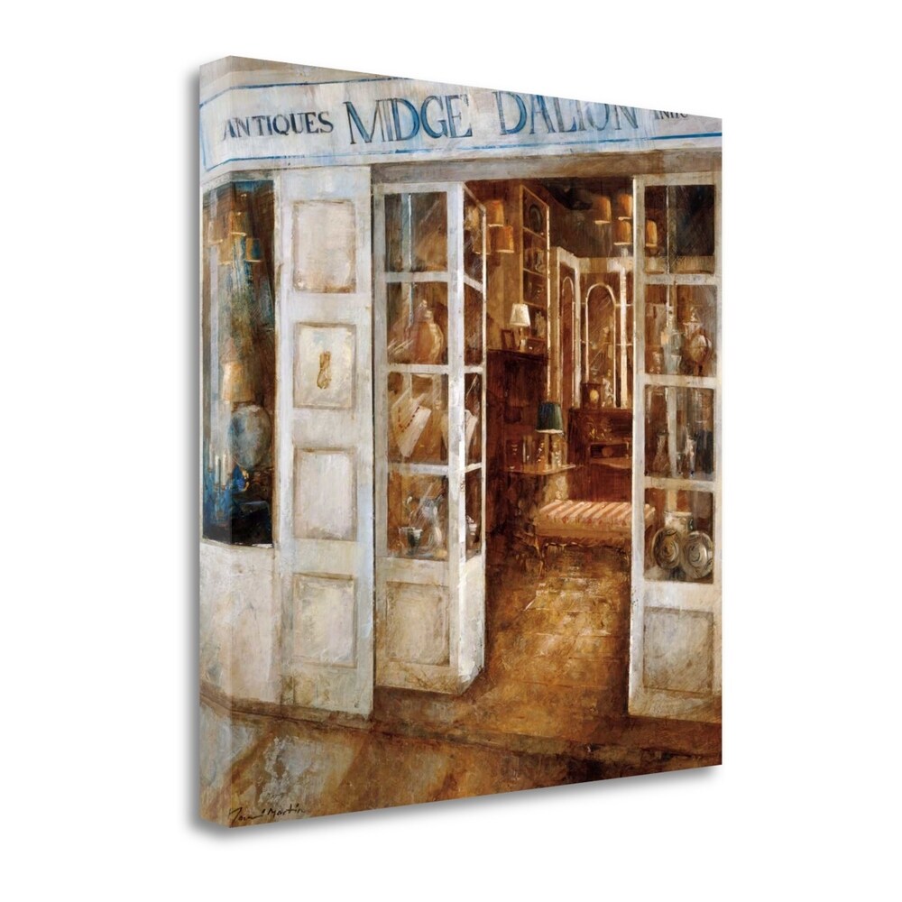 Antique Fine Art Giclee Print by Noemi Martin - Gallery Wrapped Canvas Wall Art - Ready to Hang - Perfect for Living Room, Bedroom & Office Decor