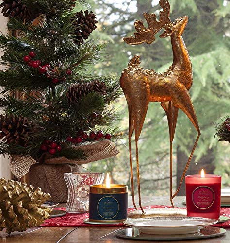 Premium Cranberry & Ginger Scented Tin Candle - Large Red Aromatherapy Candle (7.5 x 7.5 x 7.2 cm) for Home Decor, Relaxation & Holiday Gifts