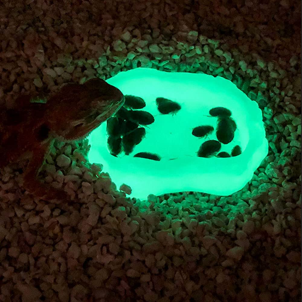Glow in the Dark Reptile Water Dish & Food Bowl - Resin Rock Feeder for Leopard Gecko, Lizard, Turtle, Chameleon, Hermit Crabs - Terrarium Decor for Nighttime Feeding & Natural Habitat Setup