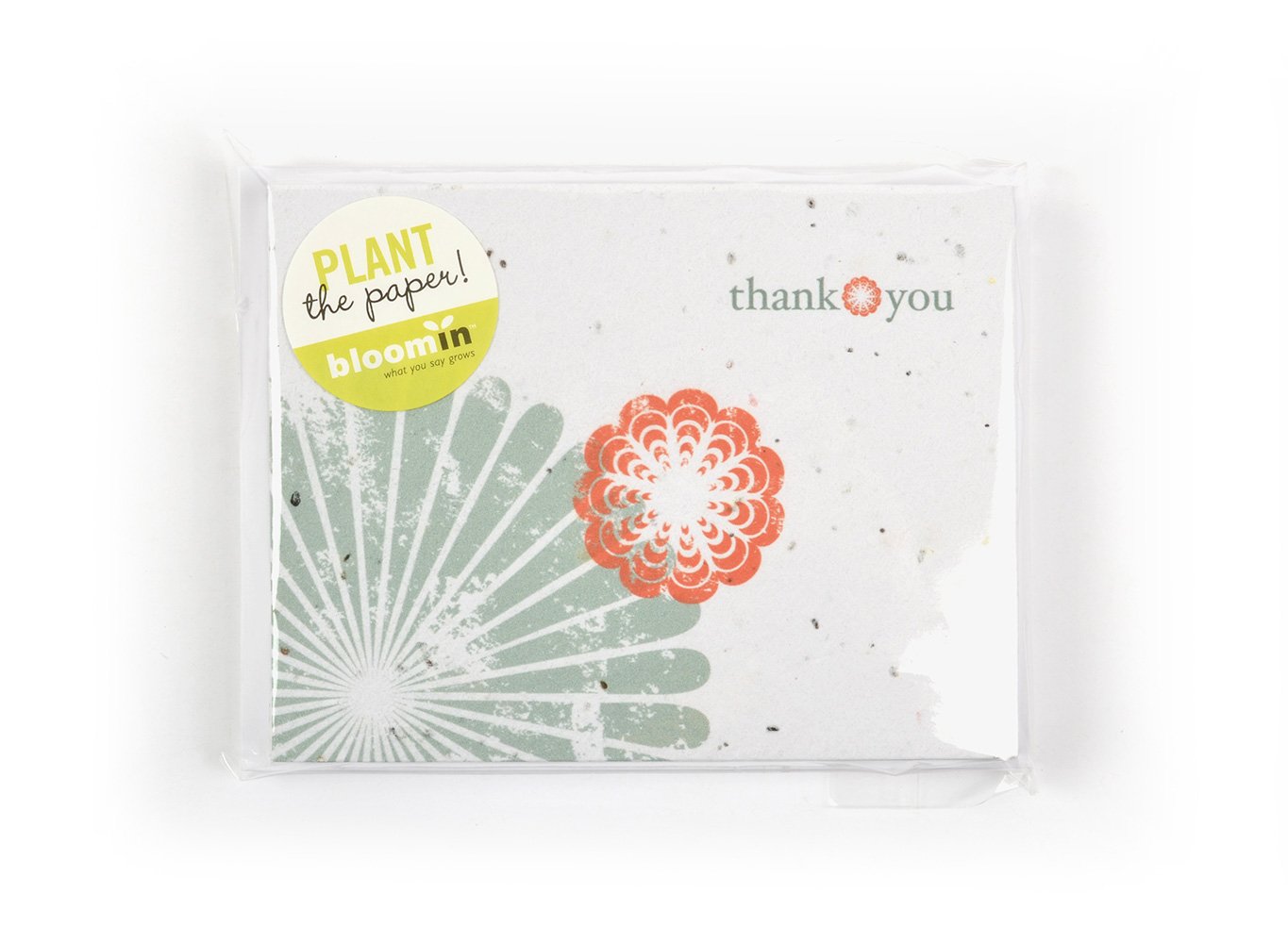 Bloomin Thanks A Bunch Cherry Blossom Seed Paper Greeting Cards - Eco-Friendly Plantable Cards (8 Pack) for Birthdays, Thank You Notes & Special Occasions